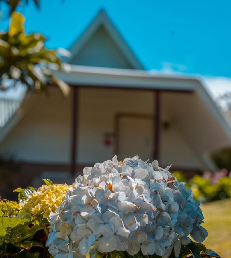 Hortensias Chalets Vara Blanca Heredia Exterior foto